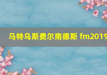 马特乌斯费尔南德斯 fm2019